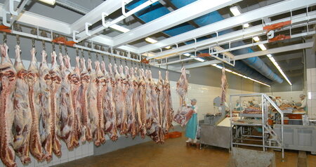 Дезинсекция на мясокомбинате в Сергиевом Посаде, цены на услуги